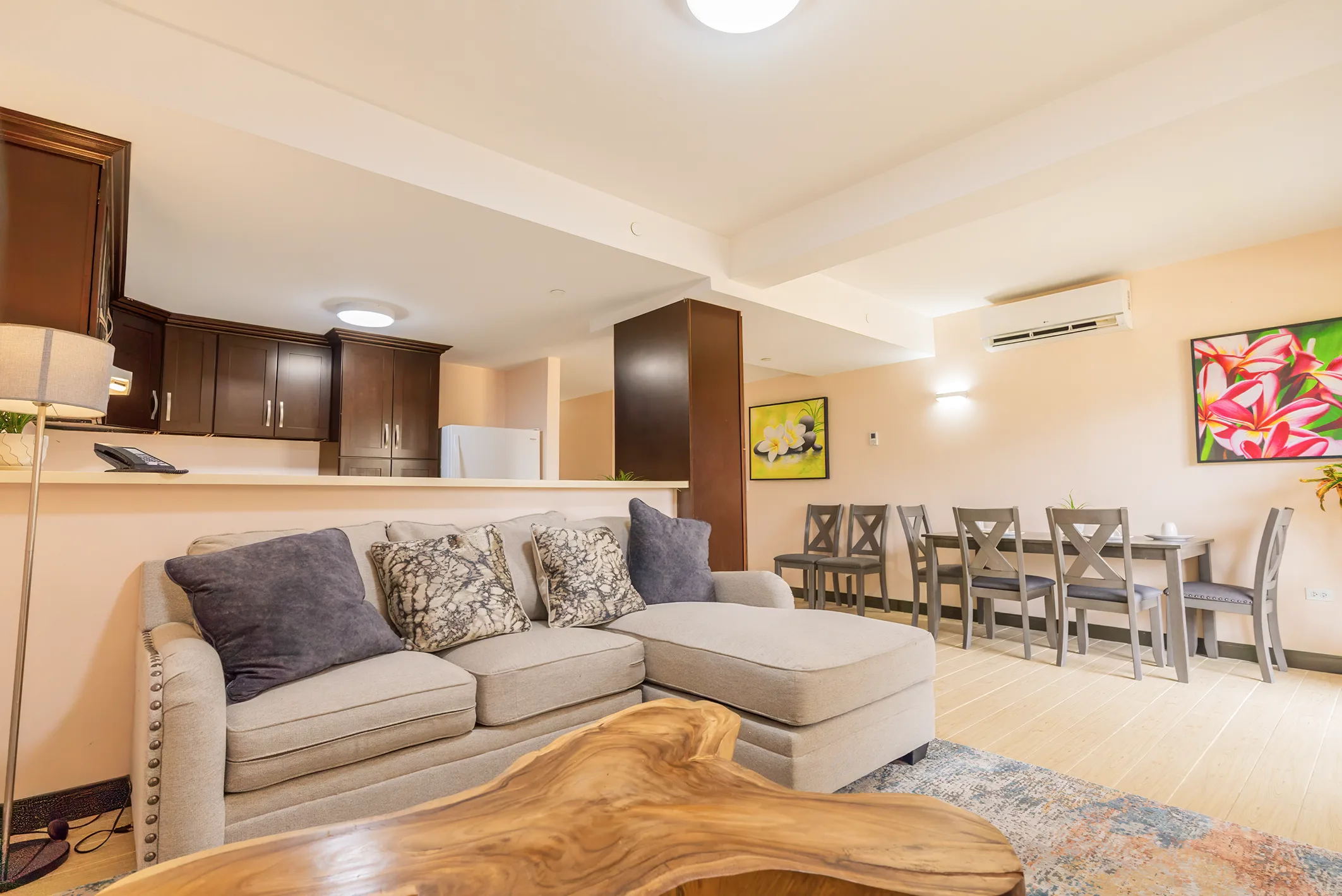 Front view of the living room with the kitchen and the L-shaped couch